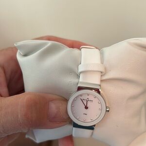 Watch Skagen of Denmark